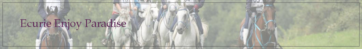 Ecurie Enjoy Paradise